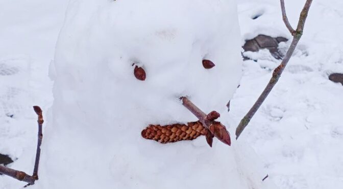 Новый прихожанин